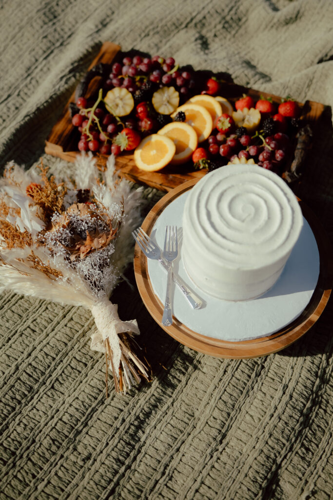 elopement picnic