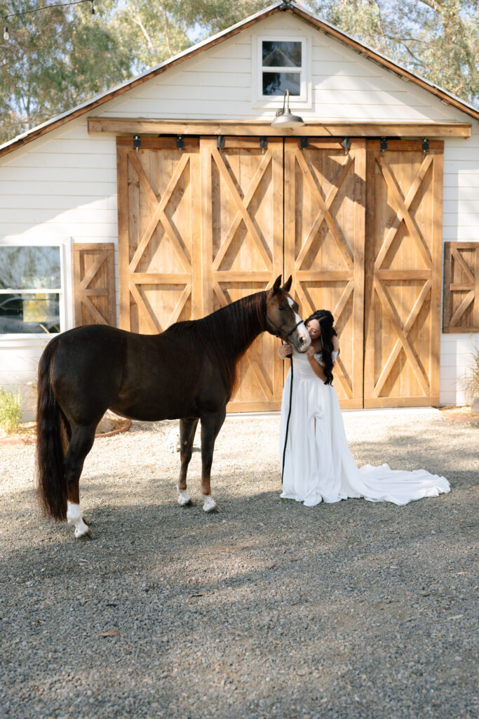 bridal portrait with horse